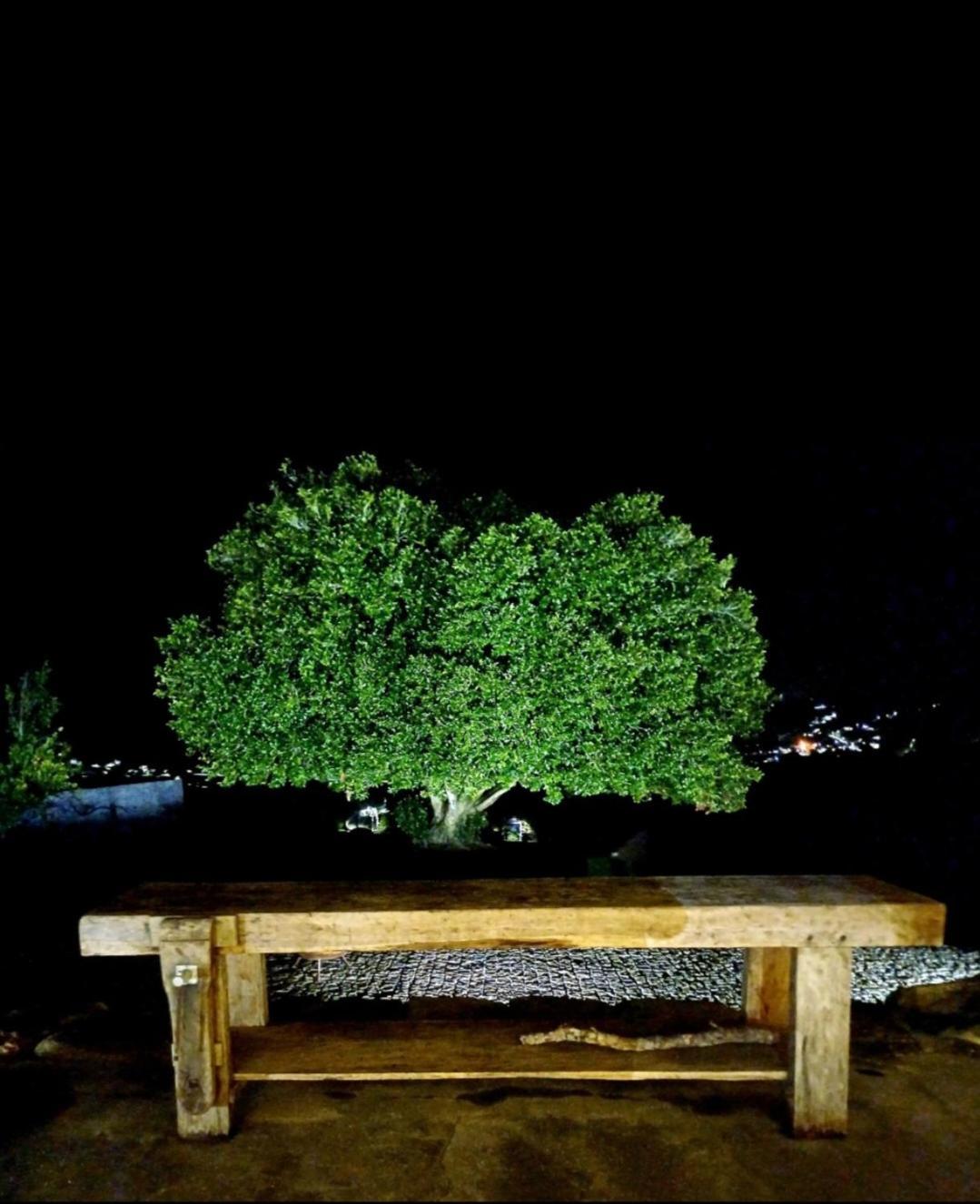 Exclusive Pena Rio Villa Ribeira de Pena Dış mekan fotoğraf